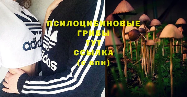 твердый Балахна