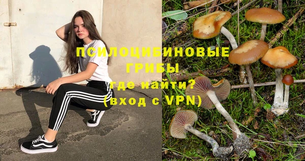 твердый Балахна