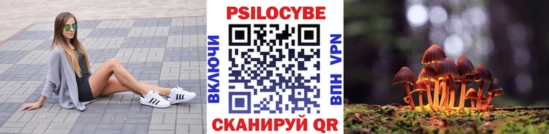 как найти наркотики  Петровск-Забайкальский  Псилоцибиновые грибы прущие грибы 